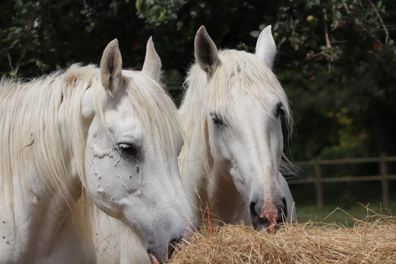 Ferme Clatot Ξενοδοχείο Les Trois Pierres Εξωτερικό φωτογραφία