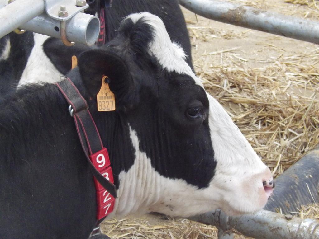 Ferme Clatot Ξενοδοχείο Les Trois Pierres Εξωτερικό φωτογραφία